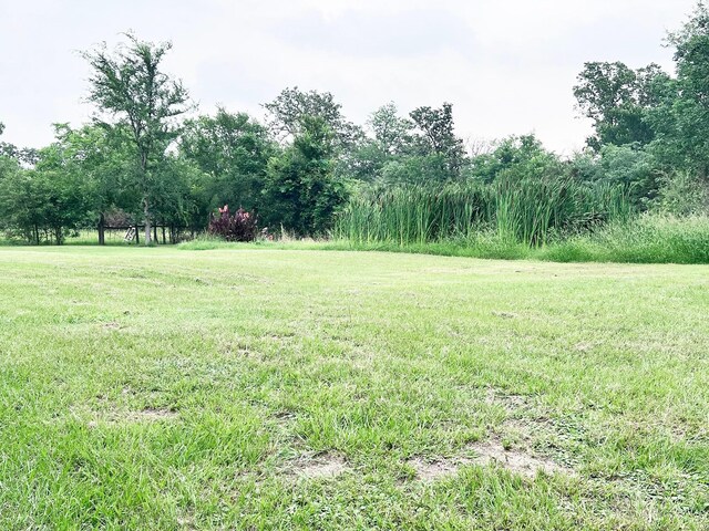 13074 Clover Ln, Iola, TX 77861 - view of yard