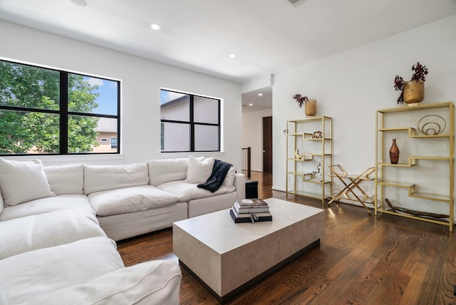 living room with dark wood-type flooring