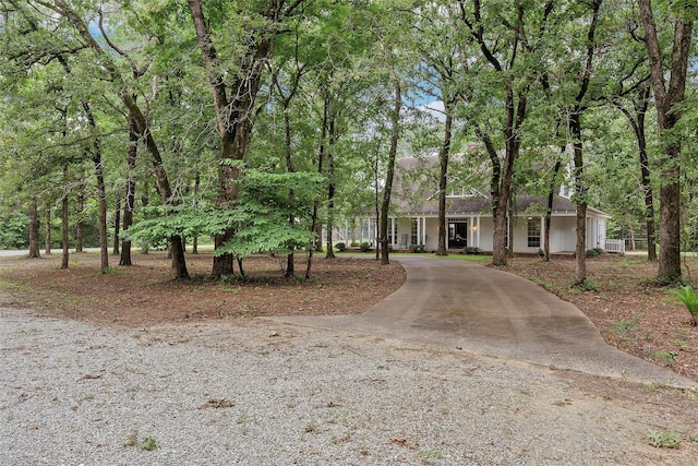 view of front of house featuring driveway