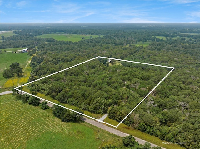 birds eye view of property with a view of trees and a rural view