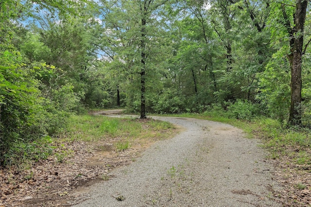 view of street with a wooded view