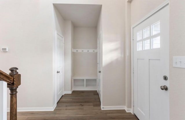 foyer entrance featuring dark hardwood / wood-style flooring