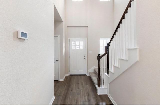 entryway featuring dark wood-type flooring and a towering ceiling