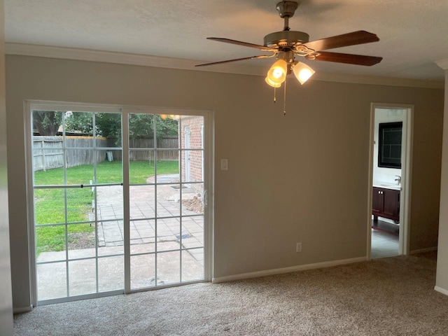 carpeted spare room featuring ceiling fan, sink, and crown molding