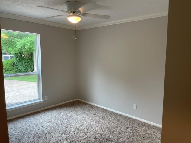 spare room featuring carpet floors, ornamental molding, and a wealth of natural light