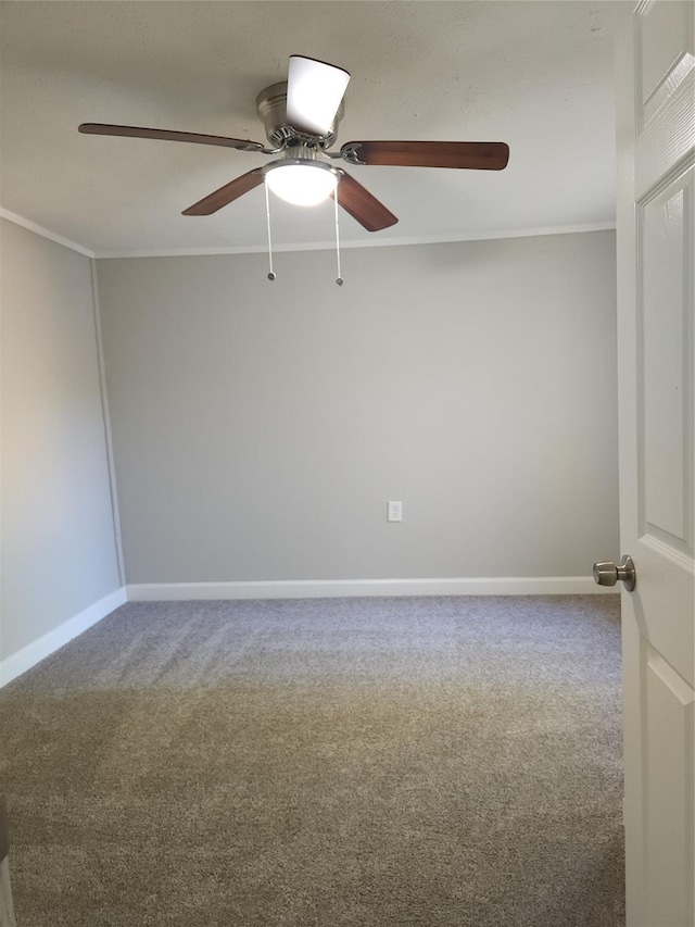 spare room featuring ceiling fan, carpet floors, and ornamental molding