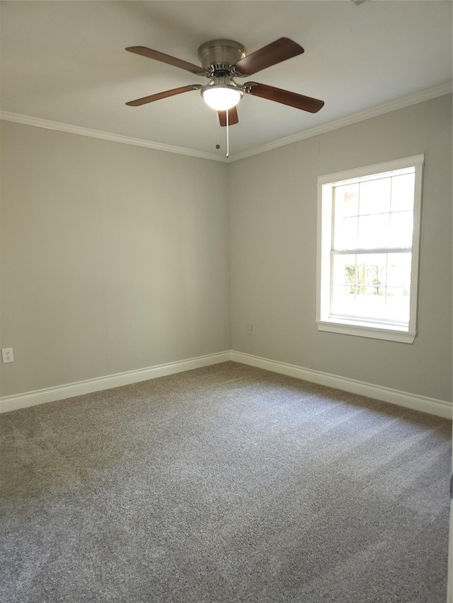 carpeted spare room with ceiling fan and ornamental molding