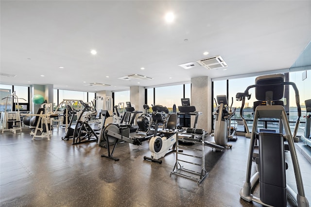 exercise room with plenty of natural light and a wall of windows