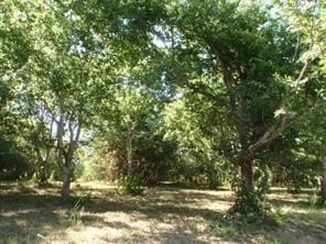 Listing photo 3 for LOT3OR8 Duncan Dr, Oyster Creek TX 77541