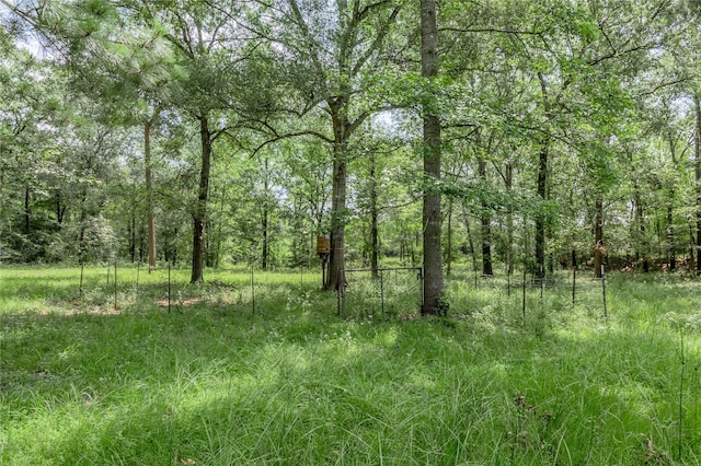 Listing photo 2 for TBD Neal Helton Rd, Kennard TX 75847