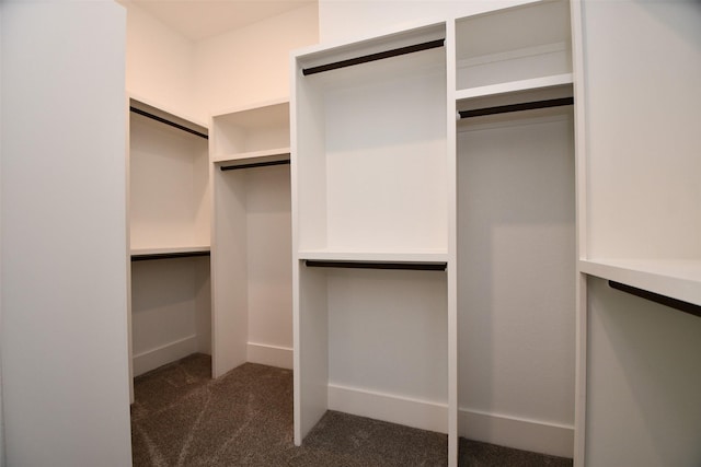 walk in closet featuring dark carpet