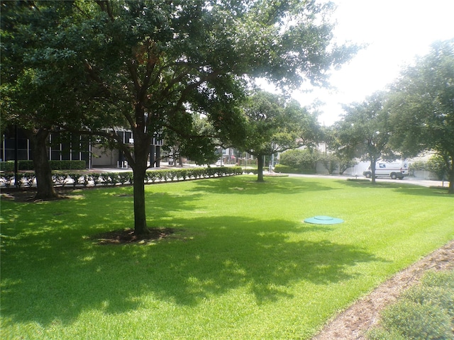 view of home's community featuring a lawn