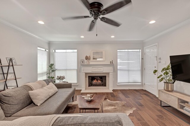 living room featuring hardwood / wood-style floors, ceiling fan, and ornamental molding