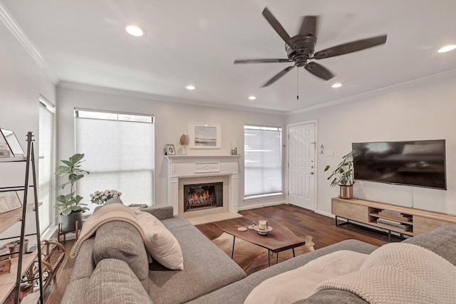 living room featuring ceiling fan, wood-type flooring, and ornamental molding