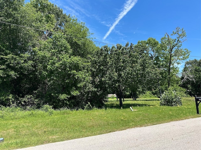 TBA Bridgeview Dr, Onalaska TX, 77360 land for sale