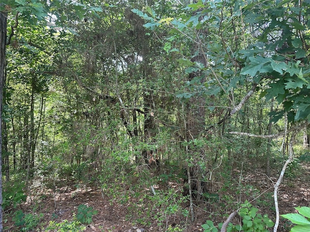 000 Spring Creek Ln, Coldspring TX, 77331 land for sale