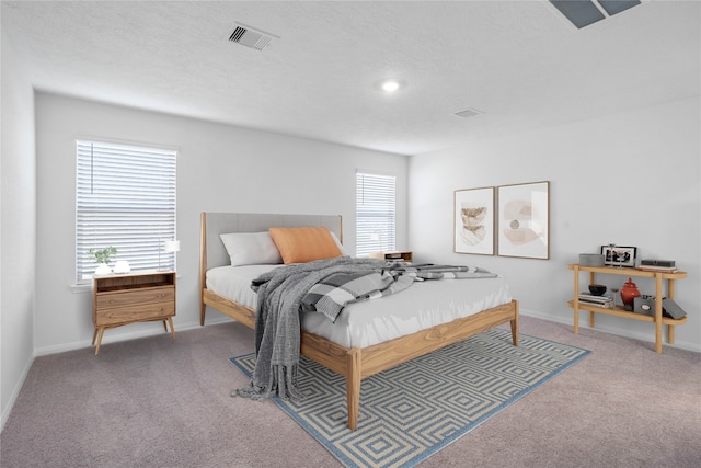 carpeted bedroom with a textured ceiling and multiple windows