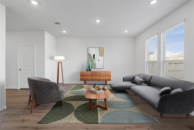 living room featuring wood-type flooring