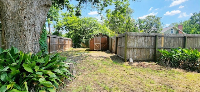 view of yard with a shed