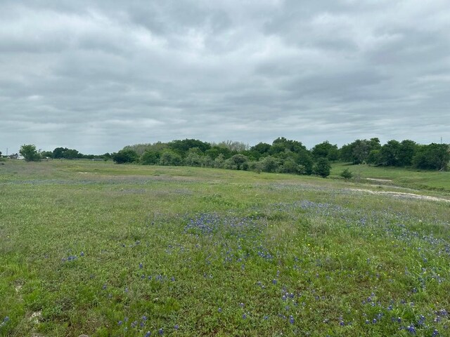TBD Hackberry Rd, Salado, TX 76571 - photo 6