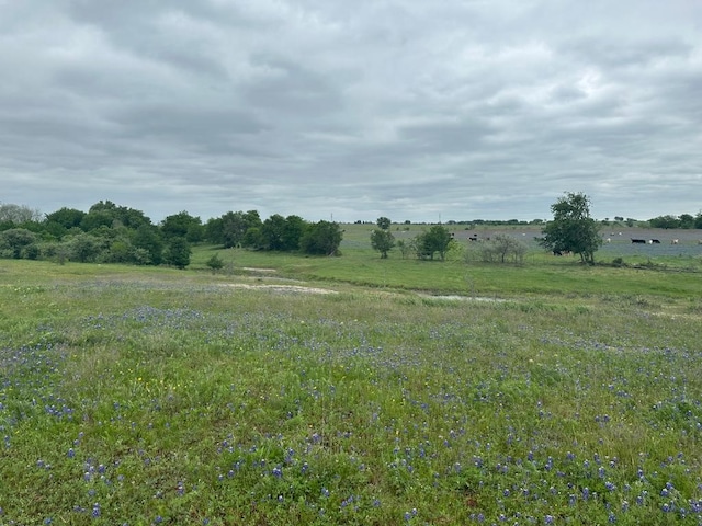 Listing photo 2 for TBD Hackberry Rd, Salado TX 76571