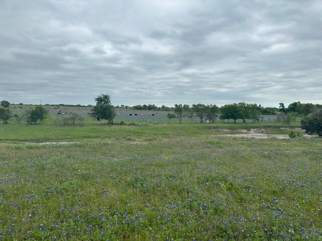 TBD Hackberry Rd, Salado, TX 76571 - photo 8