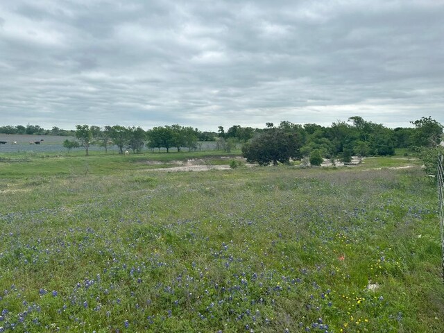 TBD Hackberry Rd, Salado, TX 76571 - photo 9