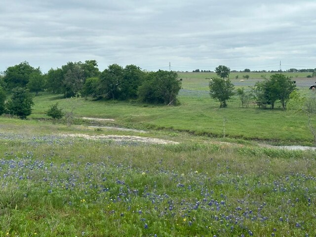 TBD Hackberry Rd, Salado, TX 76571 - photo 3