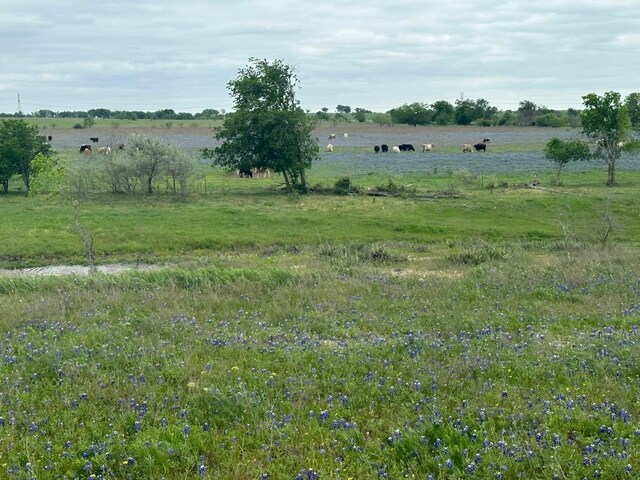 TBD Hackberry Rd, Salado, TX 76571 - photo 4
