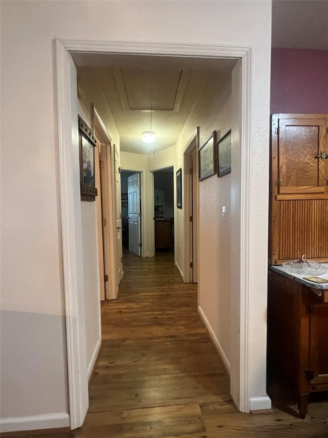 hall featuring dark wood-type flooring