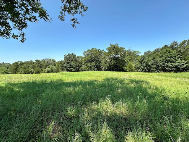 Listing photo 3 for TBD2 Fm 2547, Fairfield TX 75840