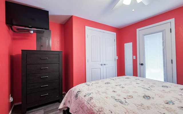 bedroom featuring ceiling fan, dark hardwood / wood-style floors, and a closet