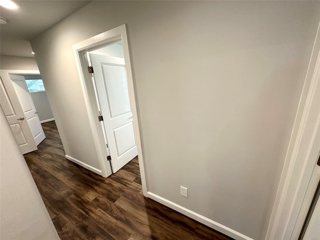 hallway with dark wood-type flooring