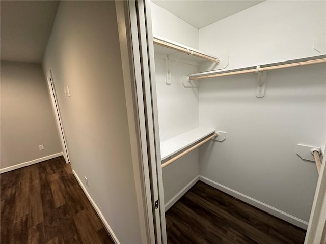 walk in closet with dark hardwood / wood-style floors