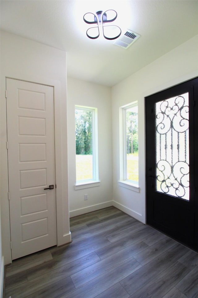 foyer entrance featuring dark hardwood / wood-style flooring