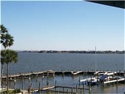 dock area with a water view