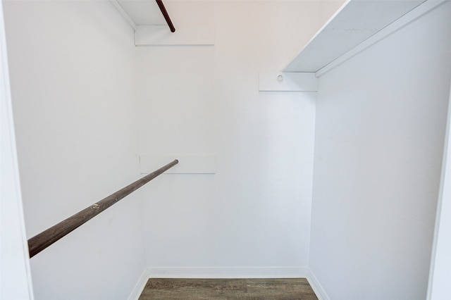 spacious closet featuring hardwood / wood-style flooring