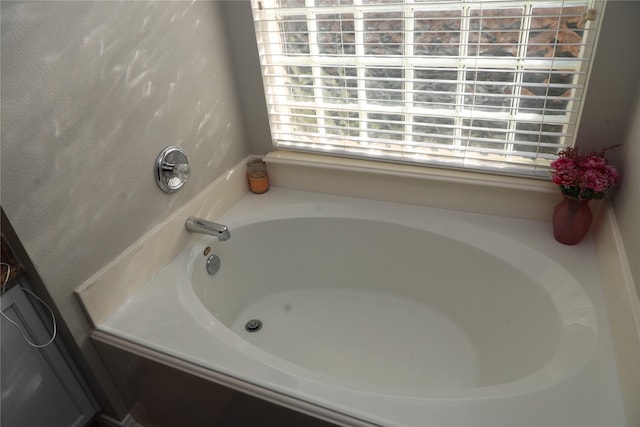 bathroom featuring a bath