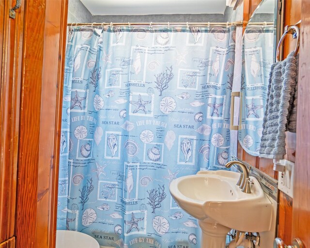 1214 County Road 201, Sargent, TX 77414 - full bath featuring a shower with curtain, toilet, and a sink