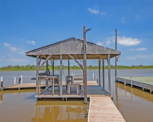 1214 County Road 201, Sargent, TX 77414 - dock area with boat lift and a water view