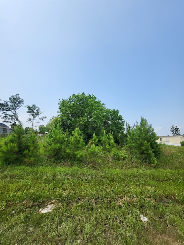 Listing photo 3 for 898 County Road 5003, Cleveland TX 77327