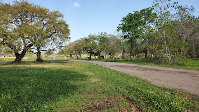 105 Country Oaks St, Brazoria TX, 77422 land for sale