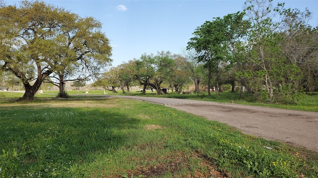 105 Country Oaks St, Brazoria, TX 77422