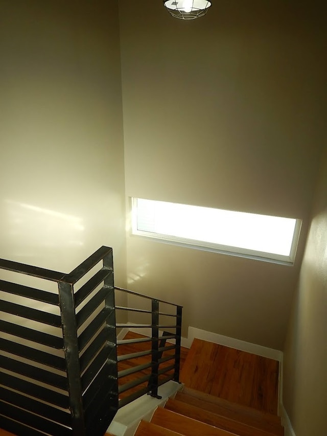 stairway featuring wood-type flooring