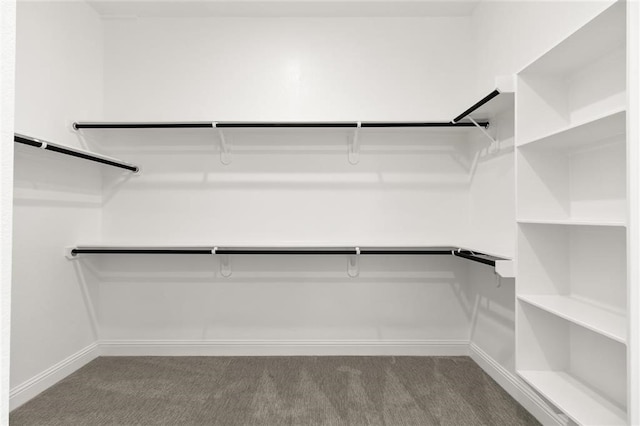 walk in closet with carpet