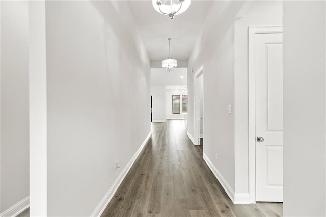 hallway with wood-type flooring