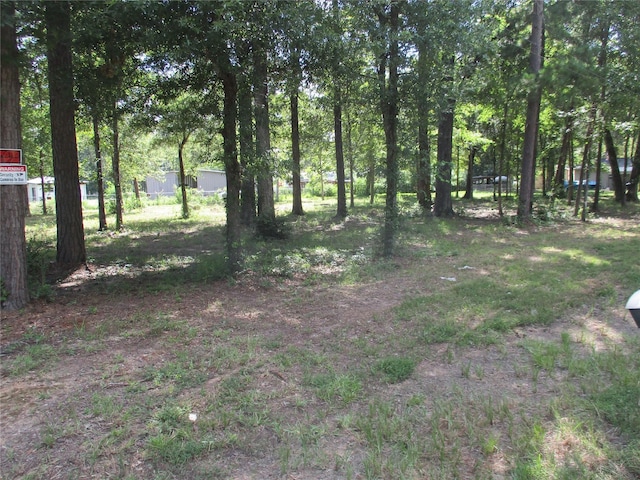 Listing photo 2 for TBD Chatham Trail, Livingston TX 77351