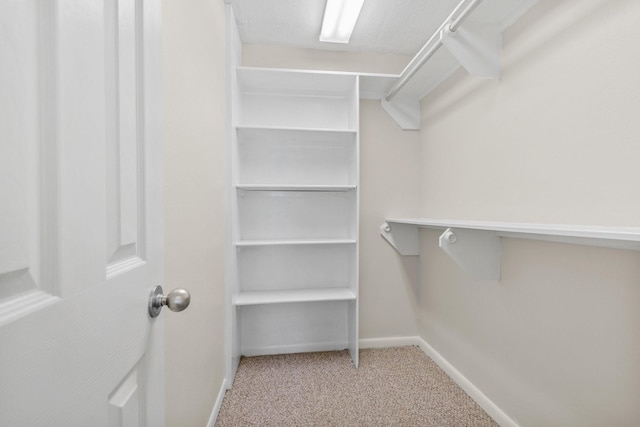 walk in closet featuring light colored carpet