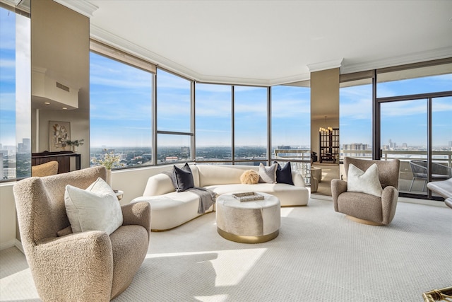 carpeted living room featuring expansive windows