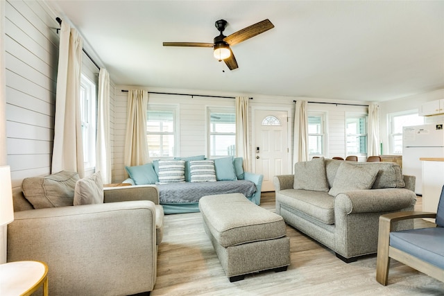 living area featuring ceiling fan, light wood-type flooring, and wooden walls